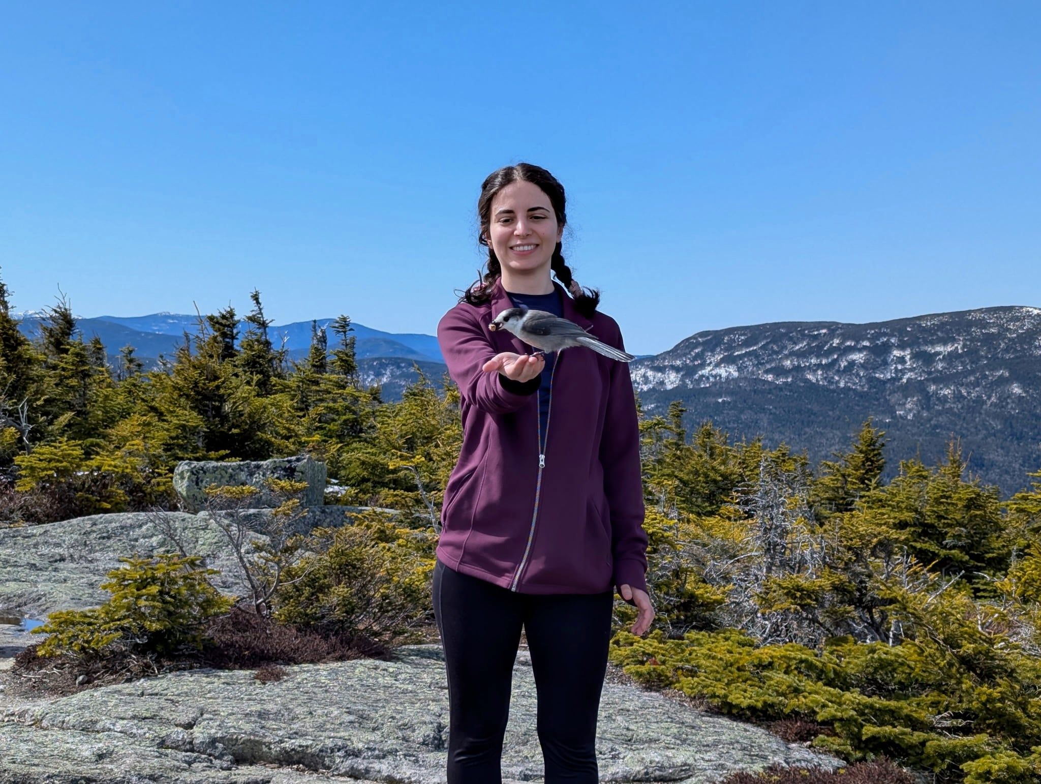 Katherine on a rocky summit with a gray jay perched on her outstretched hand