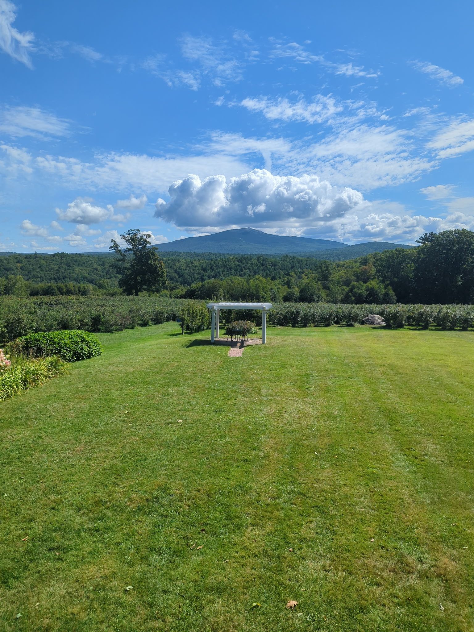 Mount Monadnock beyond the lawn and white arbor at Monadnock Berries